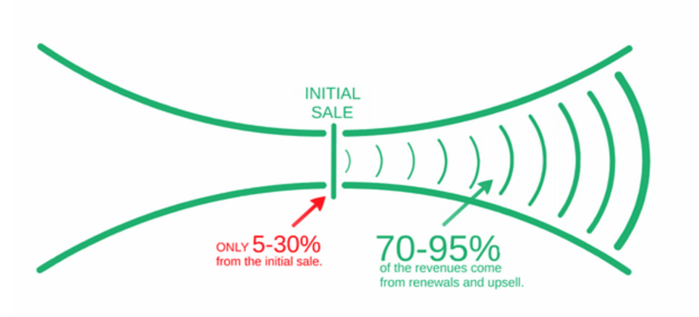 Revenue distribution diagram showing initial sale 5-30% versus renewals and upsell 70-95%